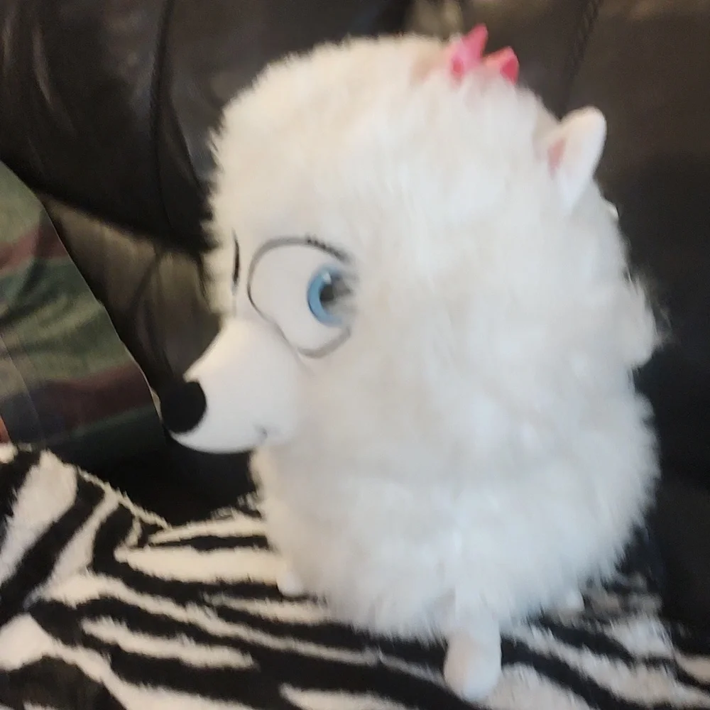 2016/Gidget - Picture 2 of 14